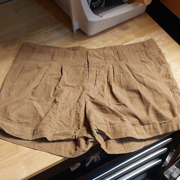 Tan Brown Micro Corduroy Cotton Booty Shorts Med. Academia Preppy Beach - Picture 1 of 7